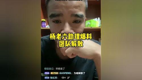 爆料老六视频大全最新网站,热门内容一网打尽